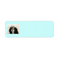 Mattie the King Charles Cavalier