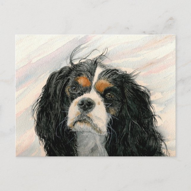 Mattie the King Charles Cavalier Spaniel Postcard (Front)