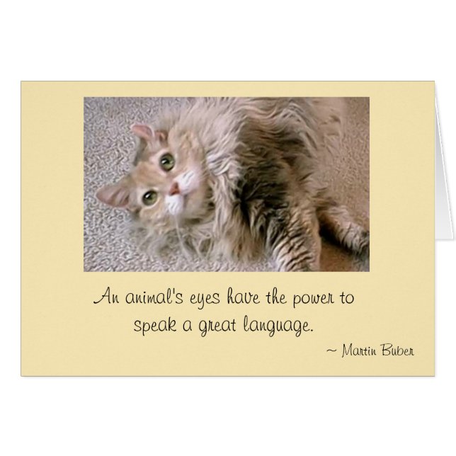 Mattie's Eyes (Front Horizontal)