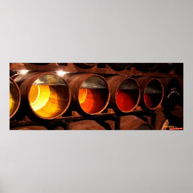 Maturation Poster (Front)