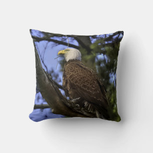 Mature Bald Eagle (2 Pics) Cushion