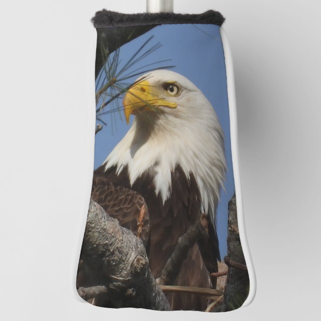Mature Bald Eagle Close Up Head  Golf Head Cover (Rotate 90)