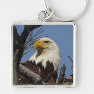 Mature Bald Eagle Close Up Head Key Ring