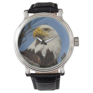 Mature Bald Eagle Close Up Head Watch
