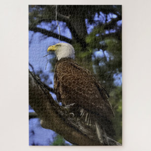Mature Bald Eagle  Jigsaw Puzzle