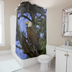 Mature Bald Eagle Shower Curtain