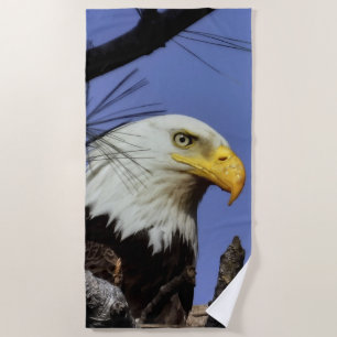 Mature Male Bald Eagle Close Up Head Shot Beach Towel