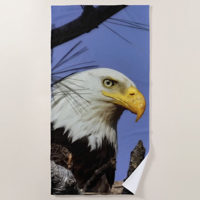 Mature Male Bald Eagle Close Up Head Shot Beach Towel (Front)