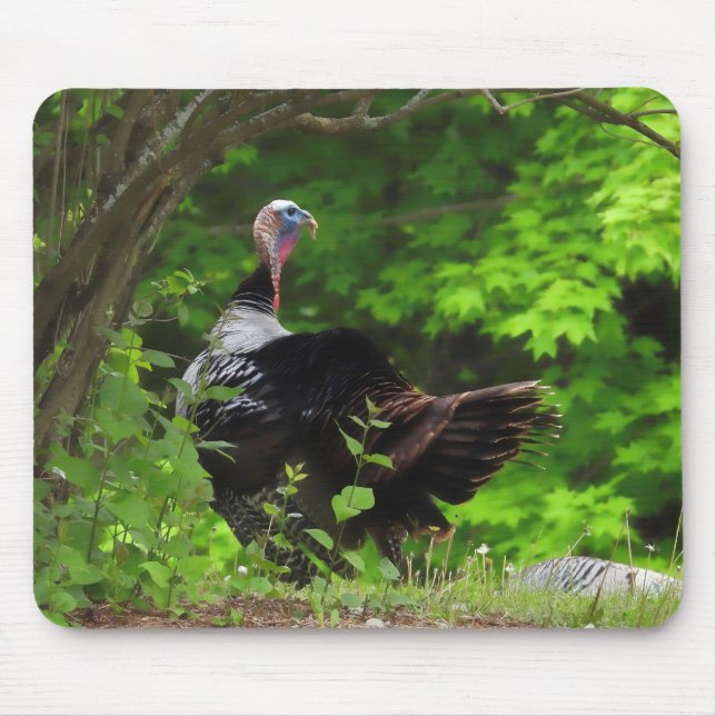 Mature Male Wild Turkey  Mouse Mat (Front)
