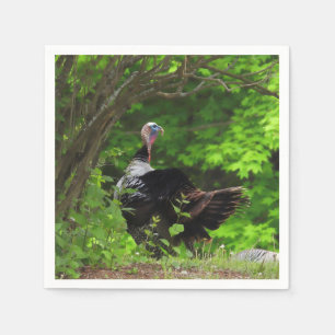 Mature Male Wild Turkey -Thanksgiving Napkin