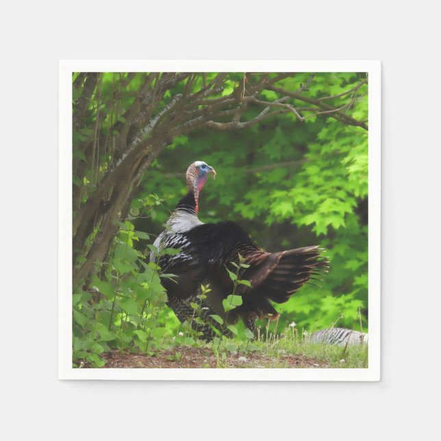 Mature Male Wild Turkey -Thanksgiving Napkin (Front)