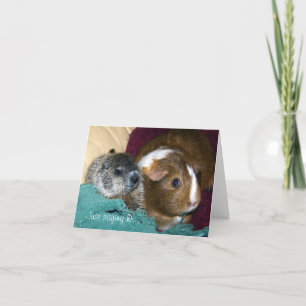 Maude and Wink Note Card
