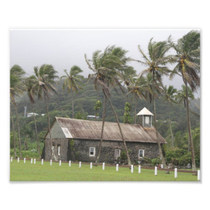 Maui, Ancient Church, Wind blown Palm Trees Photo Print