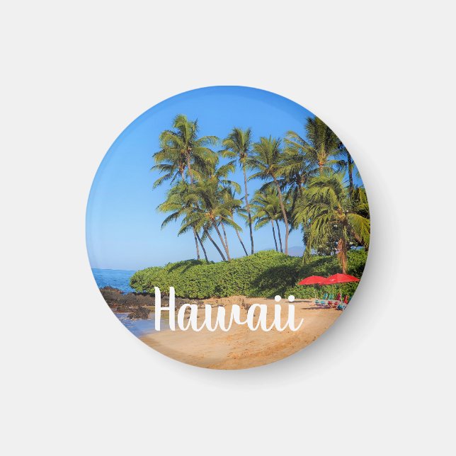 Maui Beach Umbrella Magnet (Front)