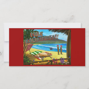 Maui Cats Christmas Card