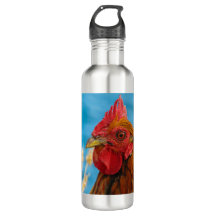 Maui chicken portrait on a stainless water bottle