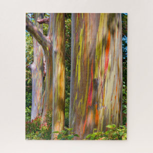 Maui Eucalyptus Jigsaw Puzzle