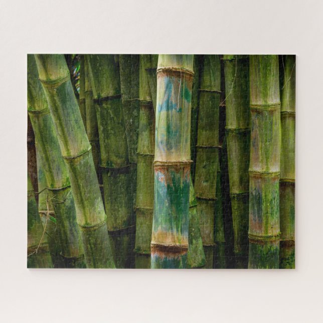 Maui, Hawaii, Bamboo Stalks Art Jigsaw Puzzle (Horizontal)