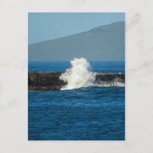 Maui Hawaii Beach 2014 Postcard