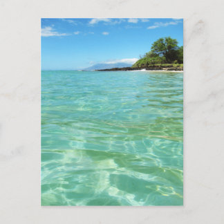 Maui Hawaii Beach Postcard