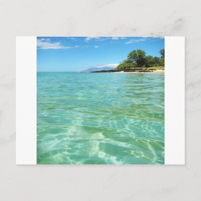 Maui Hawaii Beach Postcard (Front)