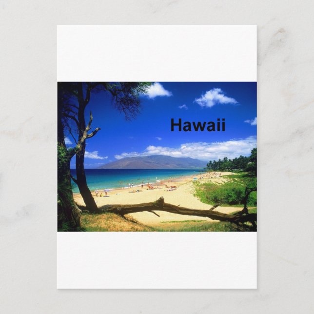 Maui Hawaii Kihei Beach (St.K.) Postcard (Front)