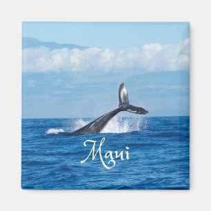 Maui Hawaii Ocean Whale Tail Magnet