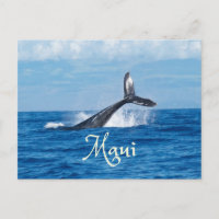 Maui Hawaii Ocean Whale Tail