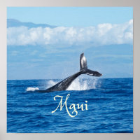 Maui Hawaii Ocean Whale Tail