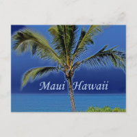 Maui Hawaii Palm Tree Ocean