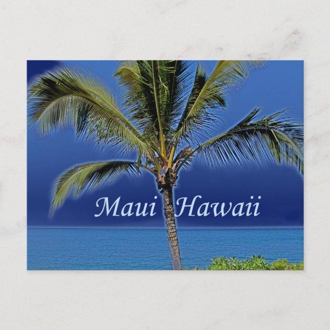 Maui Hawaii Palm Tree Ocean Postcard (Front)