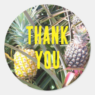 Maui Hawaii Pineapple Thank You Classic Round Sticker
