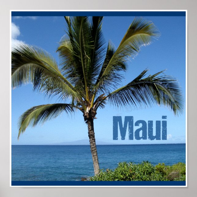 Maui Hawaii Poster (Front)