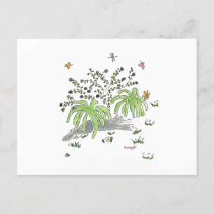 Maui hides under a bush announcement postcard