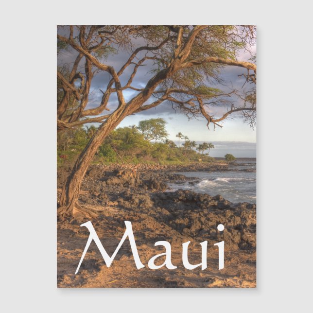 Maui ocean view (Front)