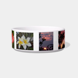 Maui Pet Bowl