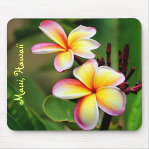 Maui Plumeria Flowers Mousepad