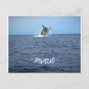 Maui Postcard