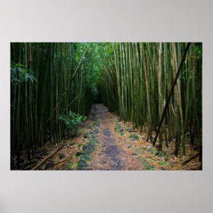 Maui Poster