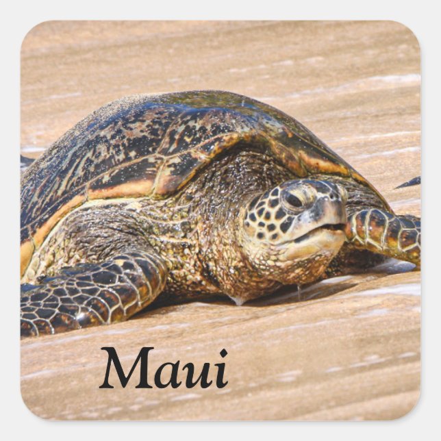 Maui Sea Turtle on a beach sticker (Front)