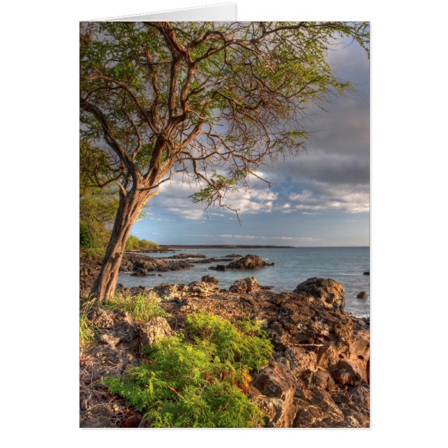 Maui shoreline (Front)
