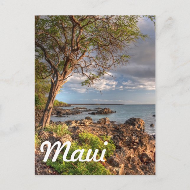 Maui shoreline postcard (Front)