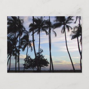 Maui Sunset 1 Postcard