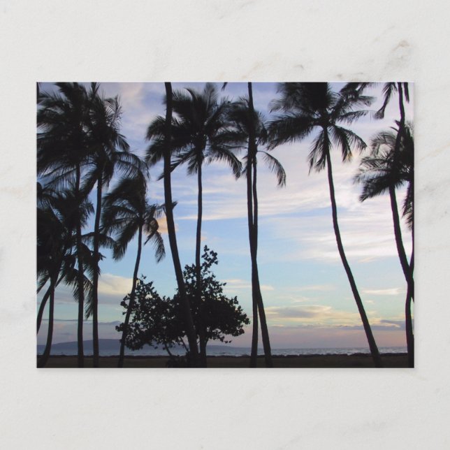 Maui Sunset 1 Postcard (Front)
