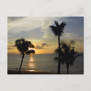 Maui Sunset 2 Postcard