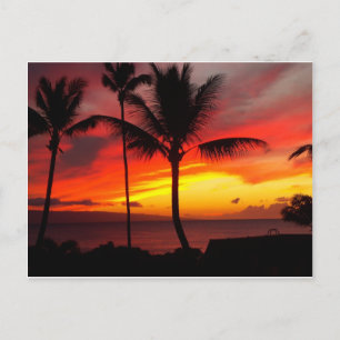 MAUI SUNSET 2 POSTCARD