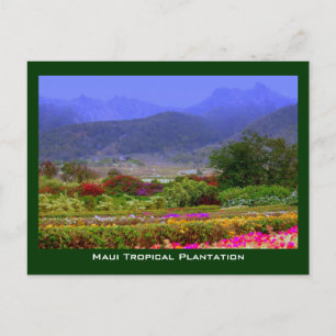 Maui Tropical Plantation West Maui Mountains Postcard