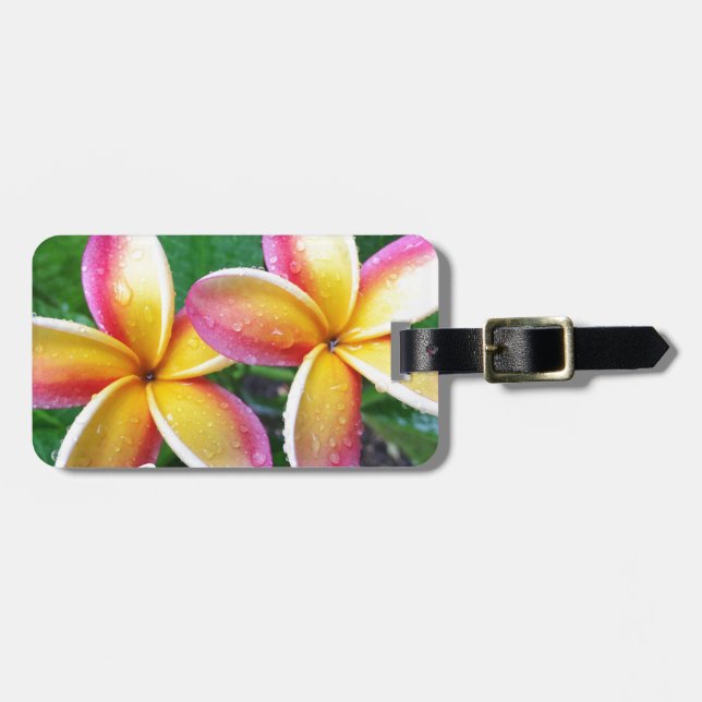 Maui Tropical Plumeria Flowers Luggage Tag (Front Horizontal)