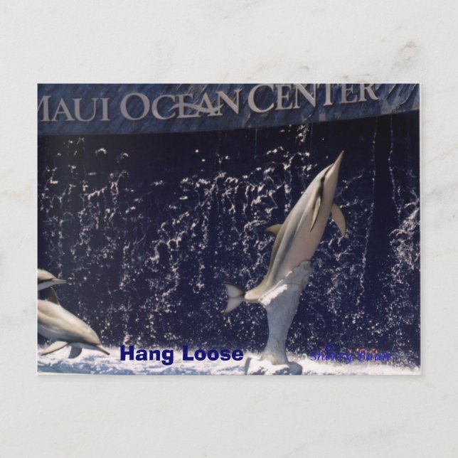 Mauii Ocean  Hang Loose Postcard (Front)