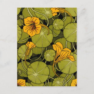 Maurice Pillard ( dit Verneuil ) Floral Art Nouvea Postcard